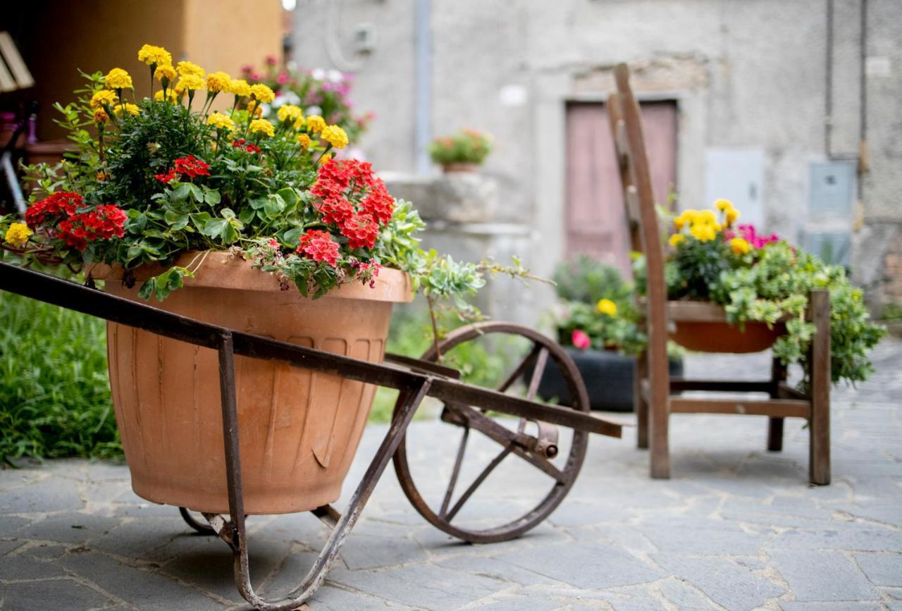 Dimora Turistica De' Piazza 호텔 Roccalvecce 외부 사진